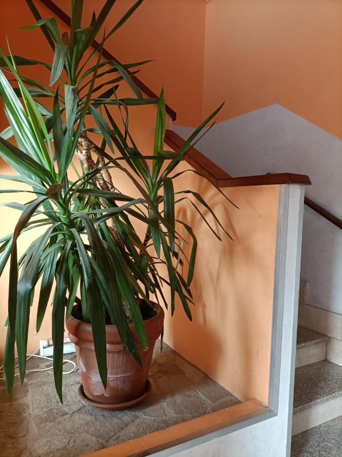 Albergo Roma Gattico Extérieur photo